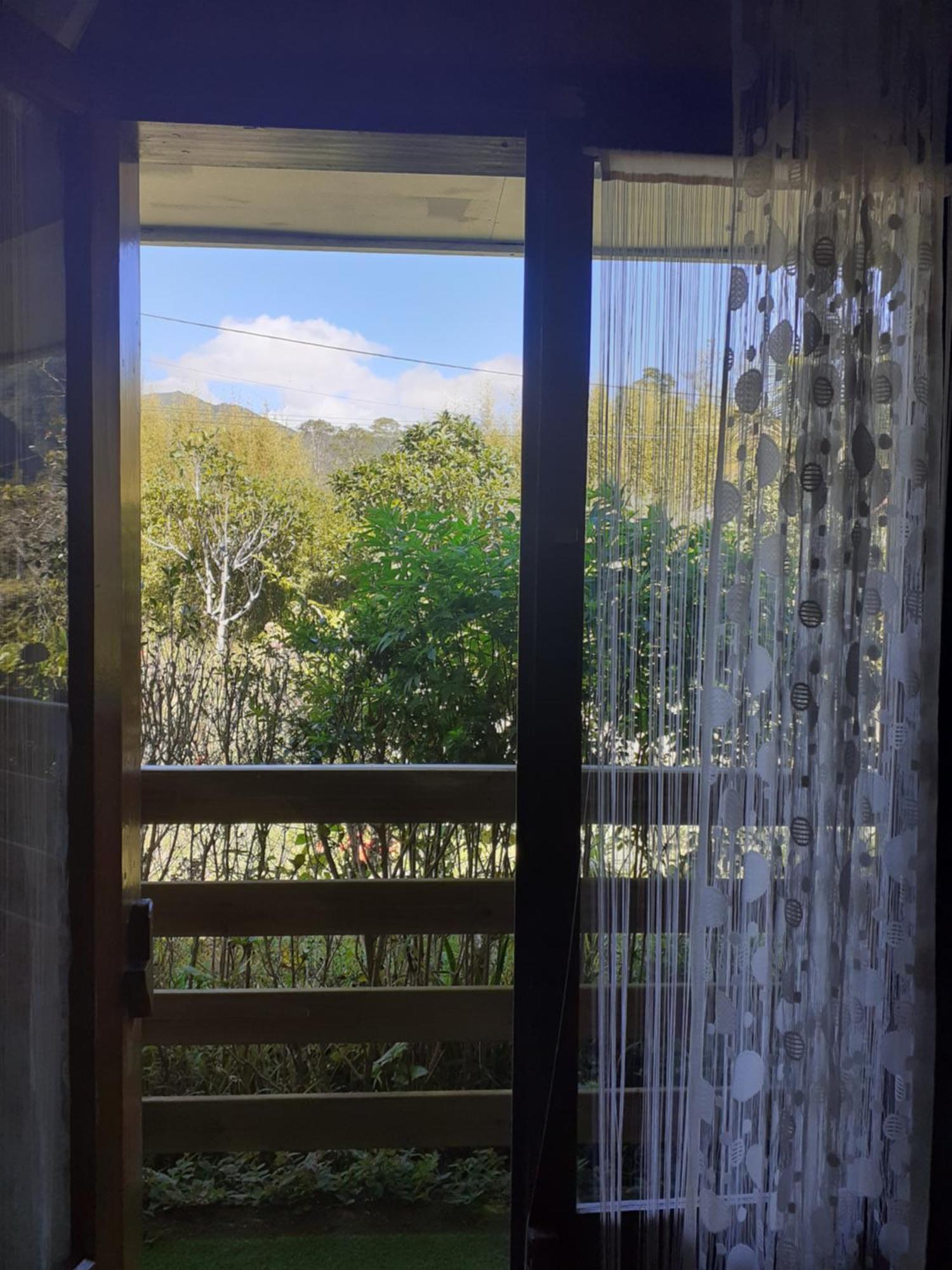 Le Clos Des Mimosas ラ・プレンヌ・デ・パルミスト エクステリア 写真