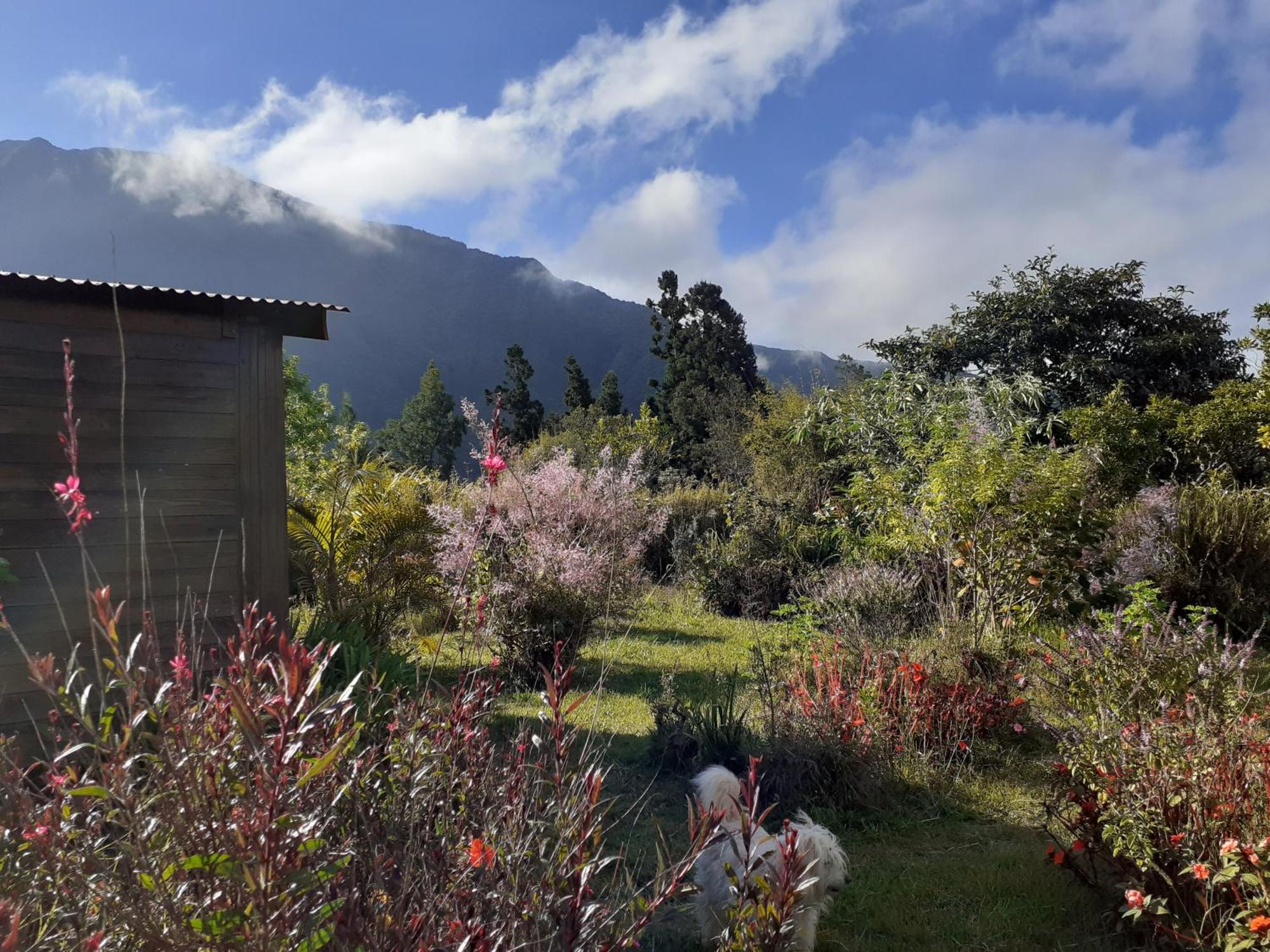 Le Clos Des Mimosas ラ・プレンヌ・デ・パルミスト エクステリア 写真
